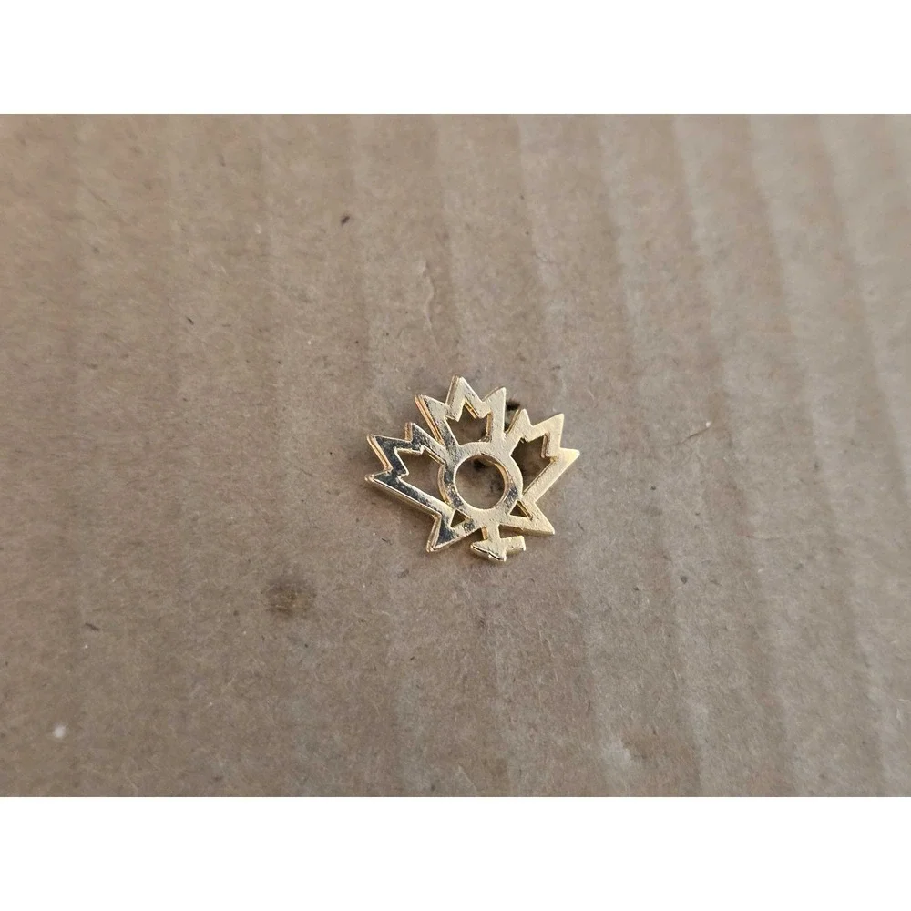 Canadian Advisory Council Status of Women Logo lapel vest hat pin E25
